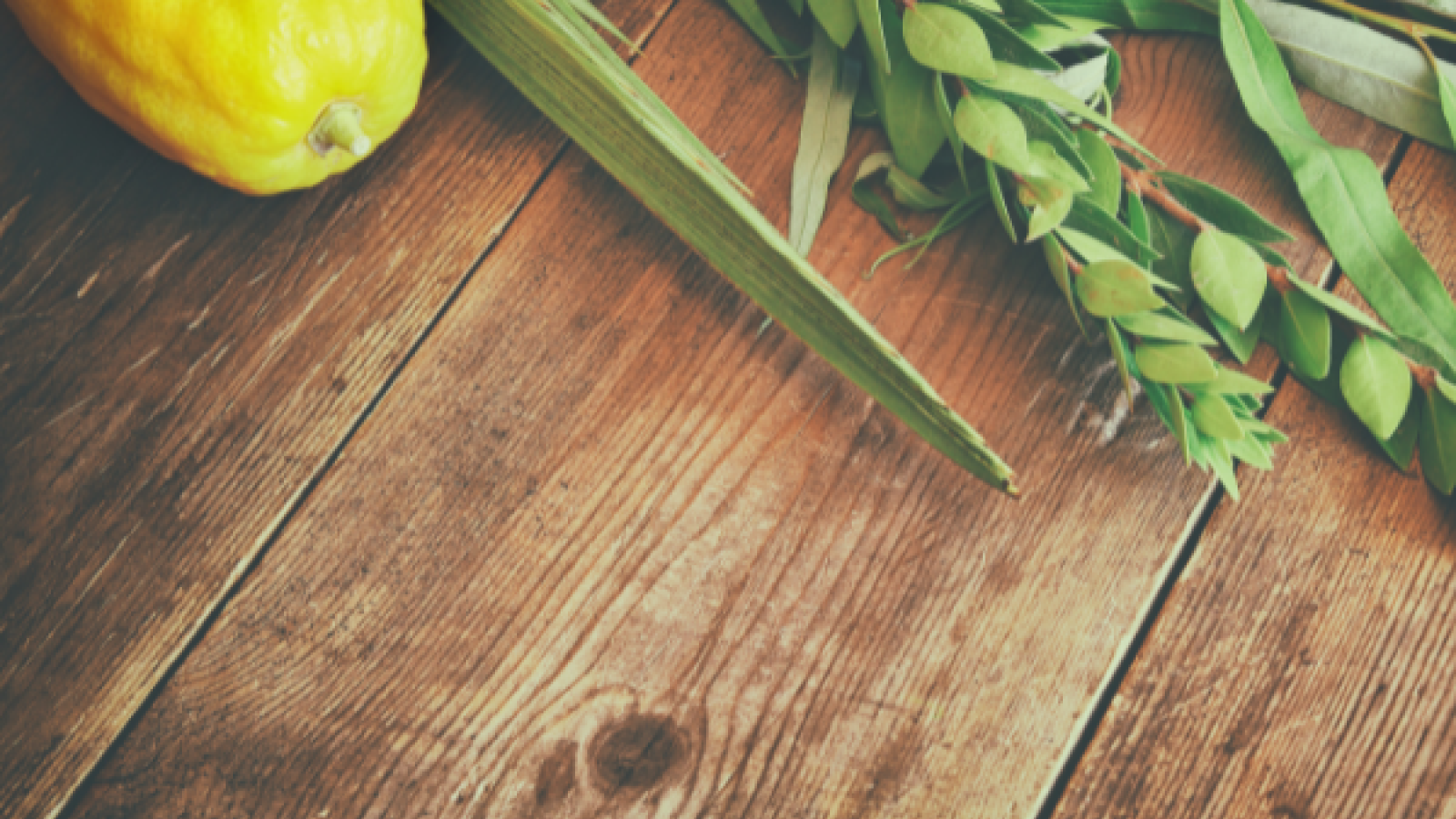 community sukkot dinner