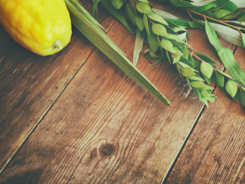 community sukkot dinner
