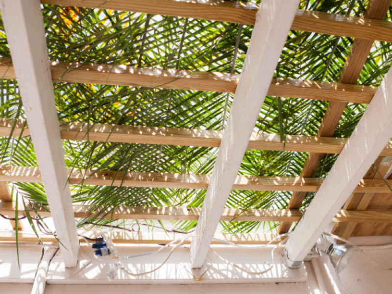 sukkot celebration!
